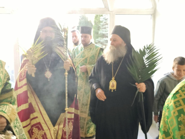 Осана на Синот Давидов